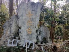 -音乐台