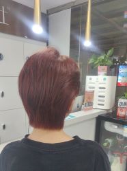 -镁连社·美联社