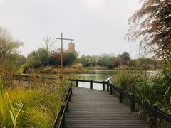 -梁鸿国家湿地公园