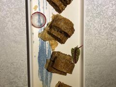 -乾园(天河城店)
