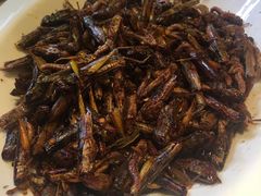 -大理实力希尔顿酒店御璽中餐厅YUXI – CHINESE RESTAURANT
