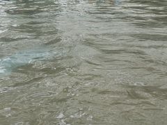 -龙达温泉生态城