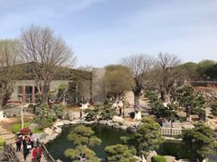 -中国唐苑