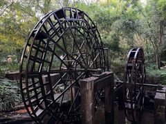 -大屏嶂森林公园