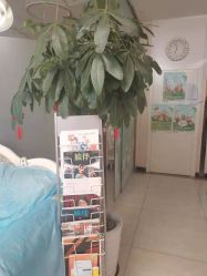 -紫洁俪方（北京）医疗美容