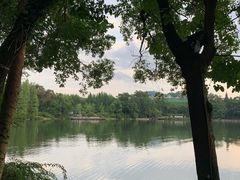 -桂林两江四湖景区