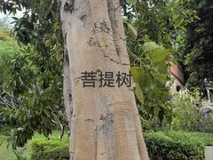 -草庵摩尼教遗址公园