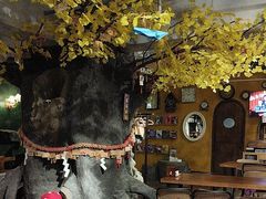 -猫猫幼稚园·撸猫·桌游·电玩