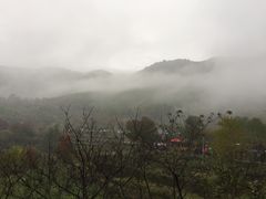 -塔川景区