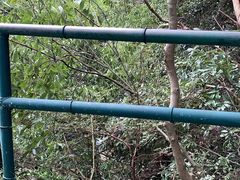 -宁波五龙潭景区