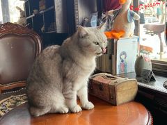 -不舍昼夜咖啡馆