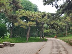 -元大都城垣遗址公园