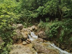 -南海湾森林生态园
