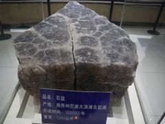 -青藏高原自然博物馆