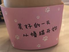 -猫爷宠物生活馆·撸猫馆