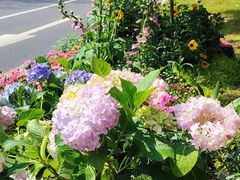 -IKEA宜家家居(南京商场)