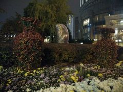 android_upload_pic-西北湖绿化广场