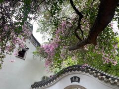 -深圳国际园林花卉博览园