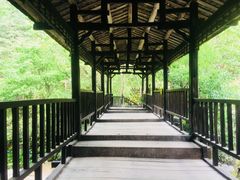 景点-神农架香溪源景区