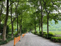-中国茶叶博物馆(双峰馆区)