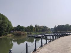 -尚贤河湿地