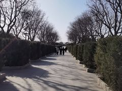 -中国人民抗日战争纪念雕塑园