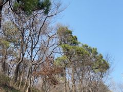 -老山国家森林公园