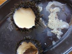-蓝湾碧波·老字号·疍家非遗海上餐厅