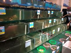 水产区-琼大师东方烤乳猪(亚特兰蒂斯店)