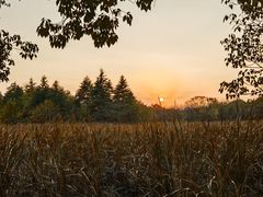 -一叶觅山(半边街店)