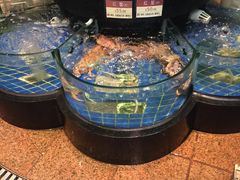 -陶陶居海鲜酒家(新马路店)