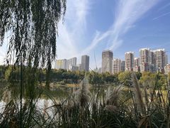 -堤角公园