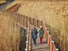 -白洋淀景区