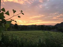 -帐篷客·溪龙茶谷度假酒店