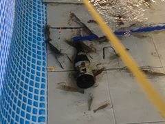 -小象钓虾·营地烧烤(洛溪店)