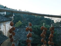 -杨家堂村