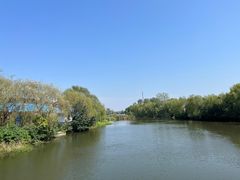 -溱湖国家湿地公园