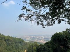 -火炉山森林公园