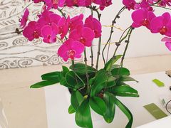 -金鸡岭农贸市场