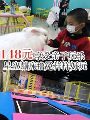 -萌兔星空蹦床撸兔馆