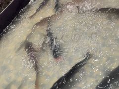 -山河屯铁锅炖(哈西站店)