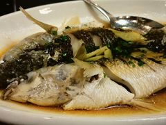 -501號台州海鲜餐厅(海创园店)