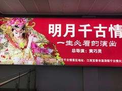 -宜春明月山机场