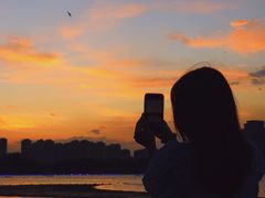 -暨阳湖生态园