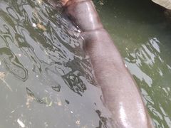 -无锡动物园·太湖欢乐园