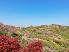 -四明山国家森林公园