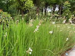 -上海滴水湖皇冠假日酒店