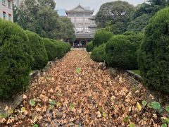-华西坝(地铁站)