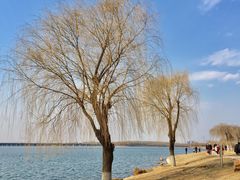 -丁香湖公园