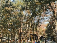 -WeLope紫金山探险公园